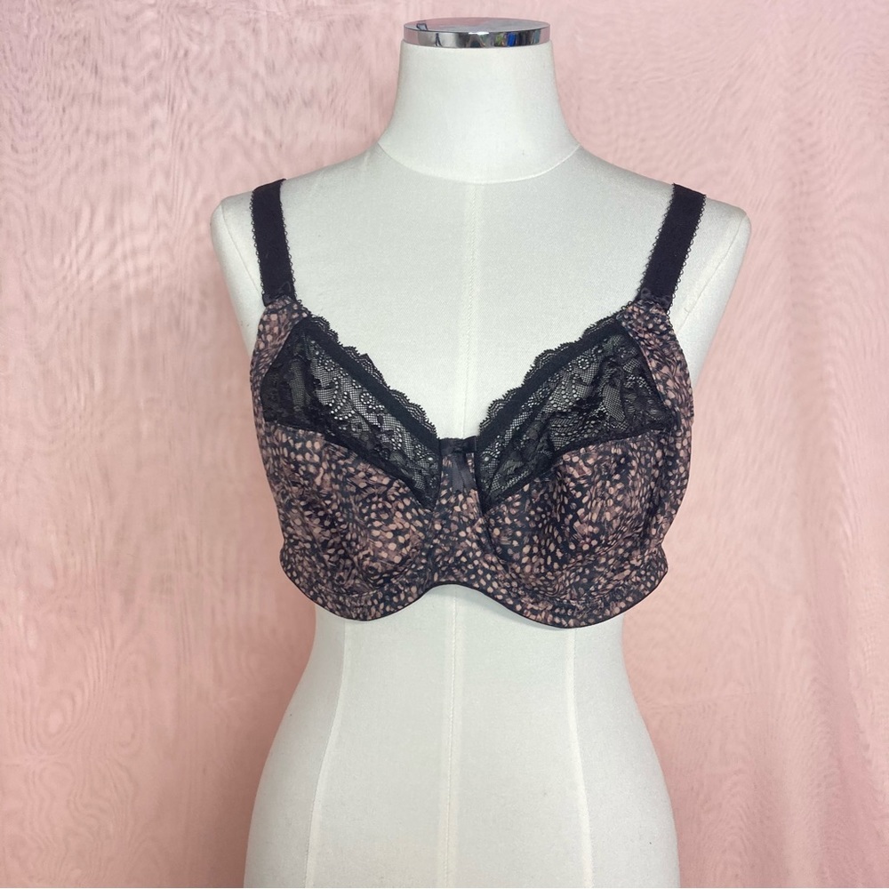 Elomi 36E printed bra